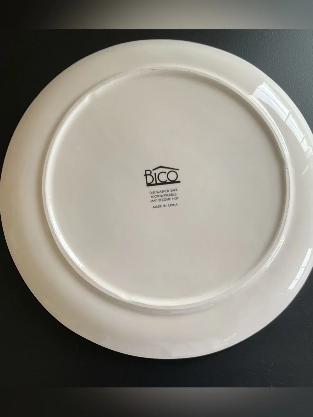 Bico Pumpkins & Gourd Autumn Harvest Ceramic 11” Dinner Plates, Set of 4